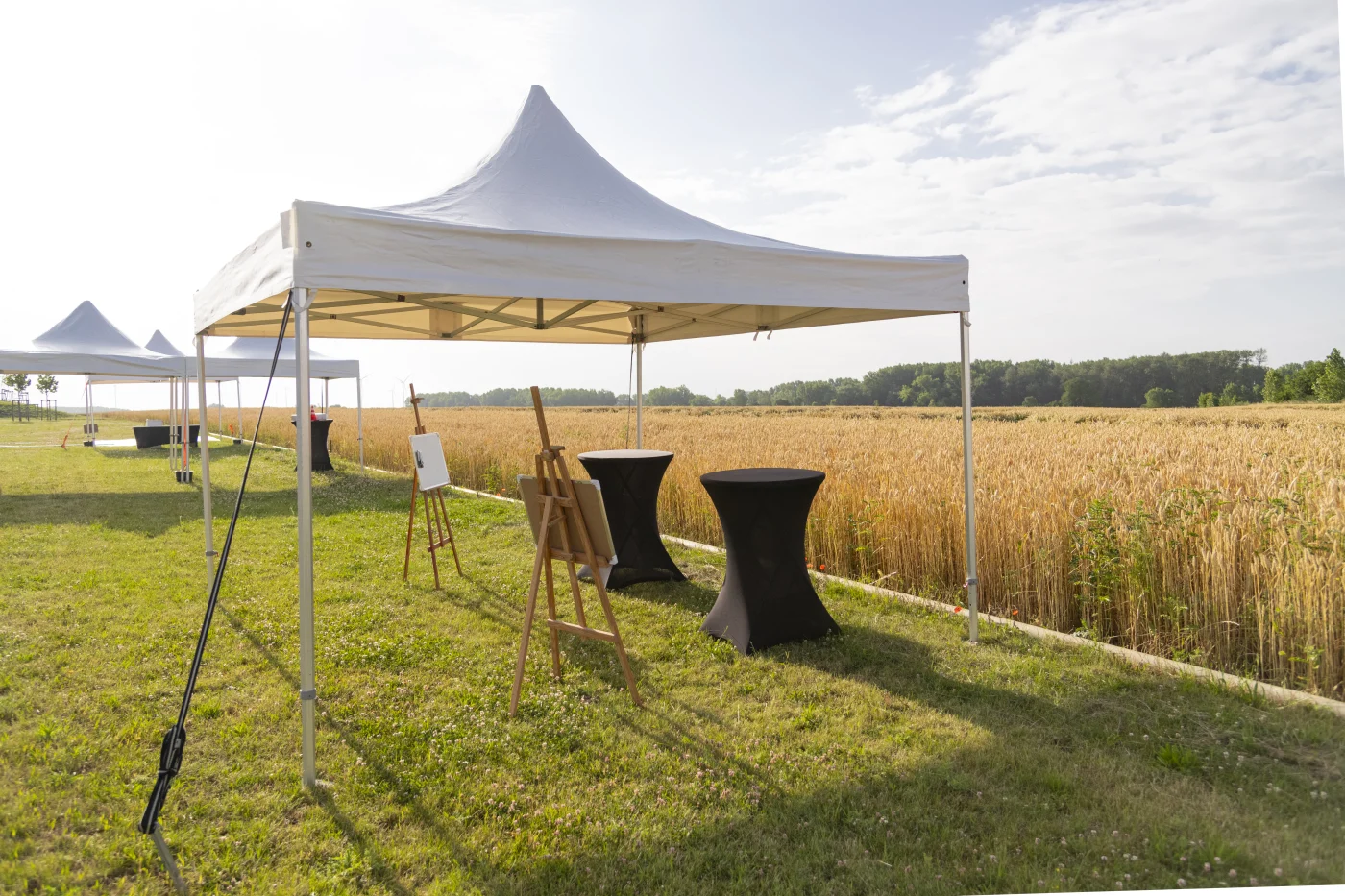 Tente 4 x 4 m - 9P Location