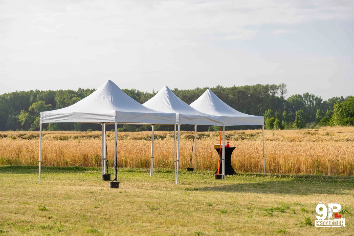 Tente pliable 3x3m - 9P Location